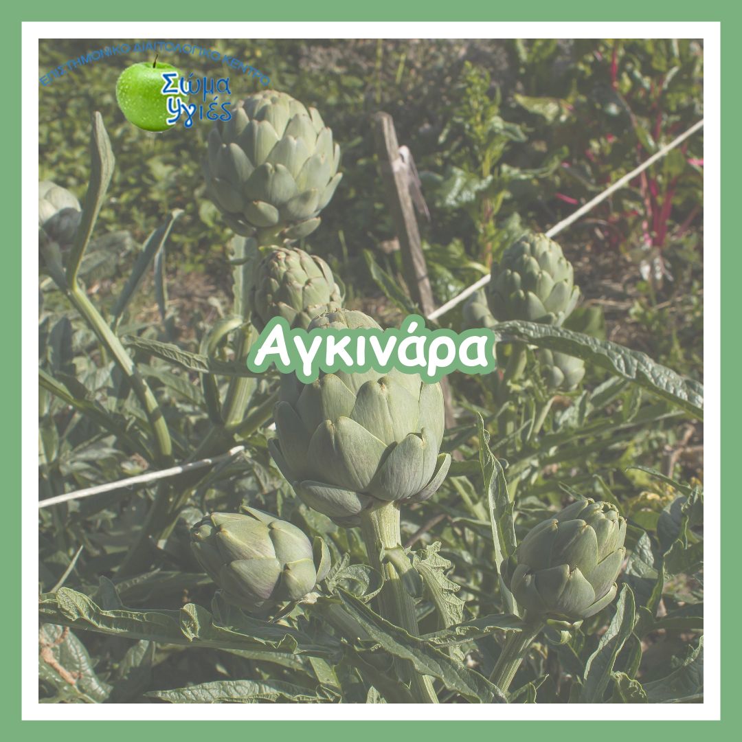 Αγκινάρα