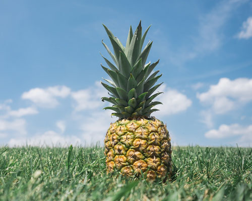 image ananas kai h threptikh tou aksia