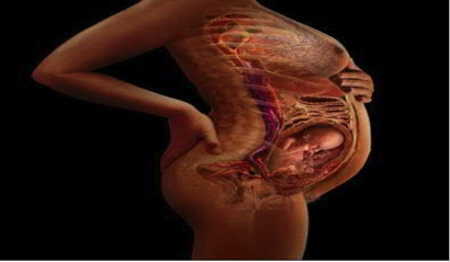 fwto-katamerismos barous egkumosunhs 410 x 239
