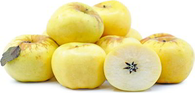 mhlo golden delicious fwto- mhlo golden delicious