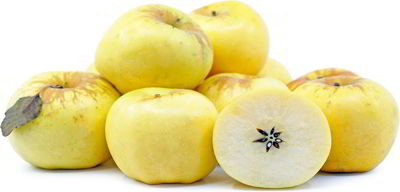 fwto- mhlo golden delicious