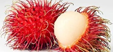 φωτο rambutan